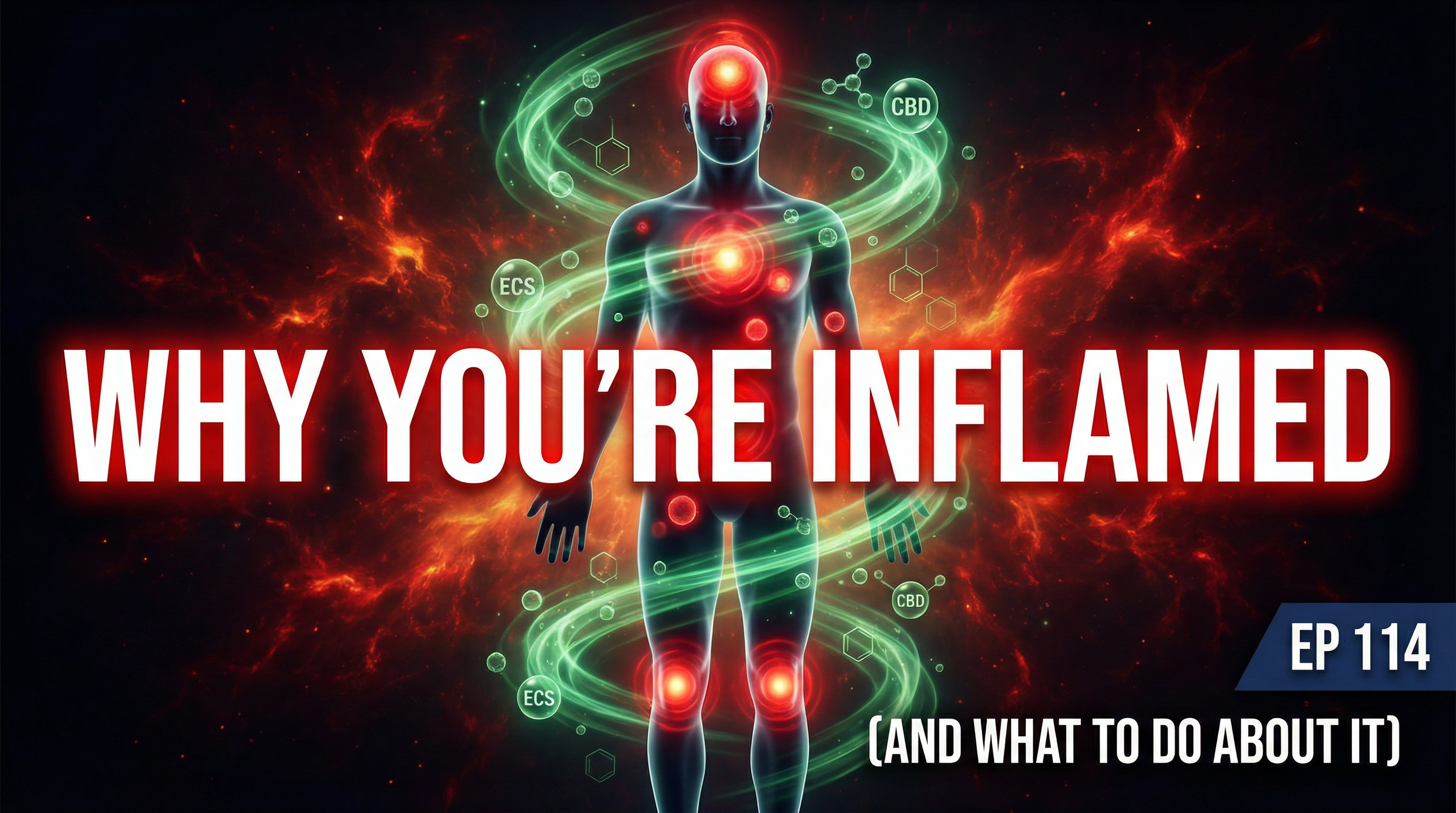 Why Youre Inflamed And What To Do About It